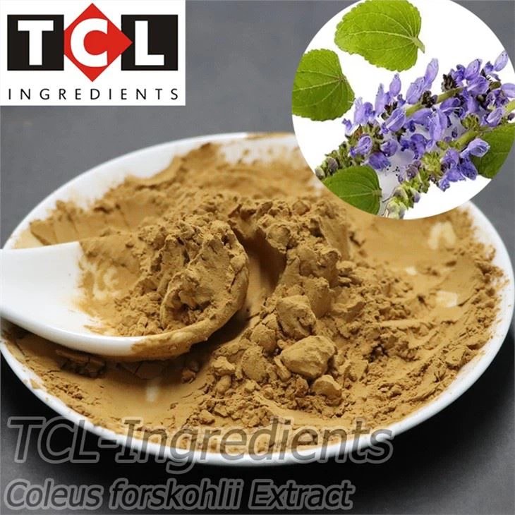 Coleus Forskohlii ekstrakt